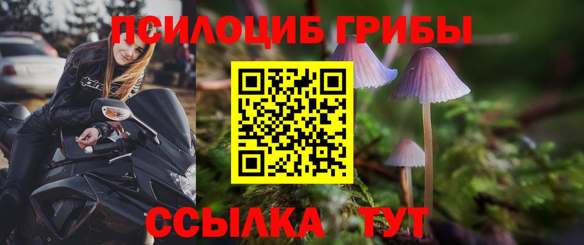 Бошки Шишки Скопин